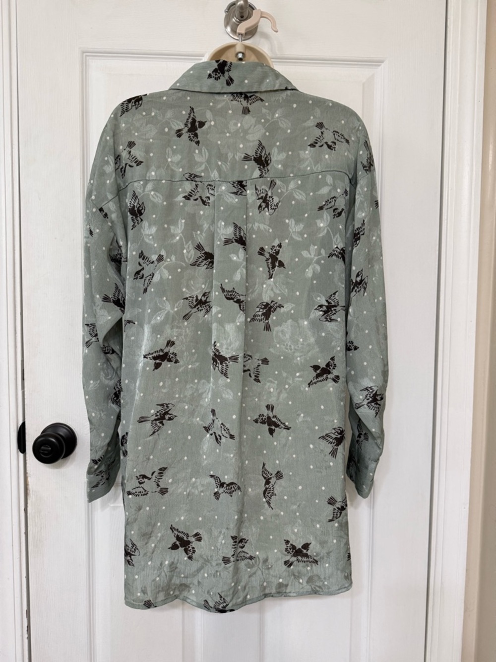 Zara Basic Bird Print Button Down Blouse Sage Green Polka Dot Size M - Picture 4 of 13